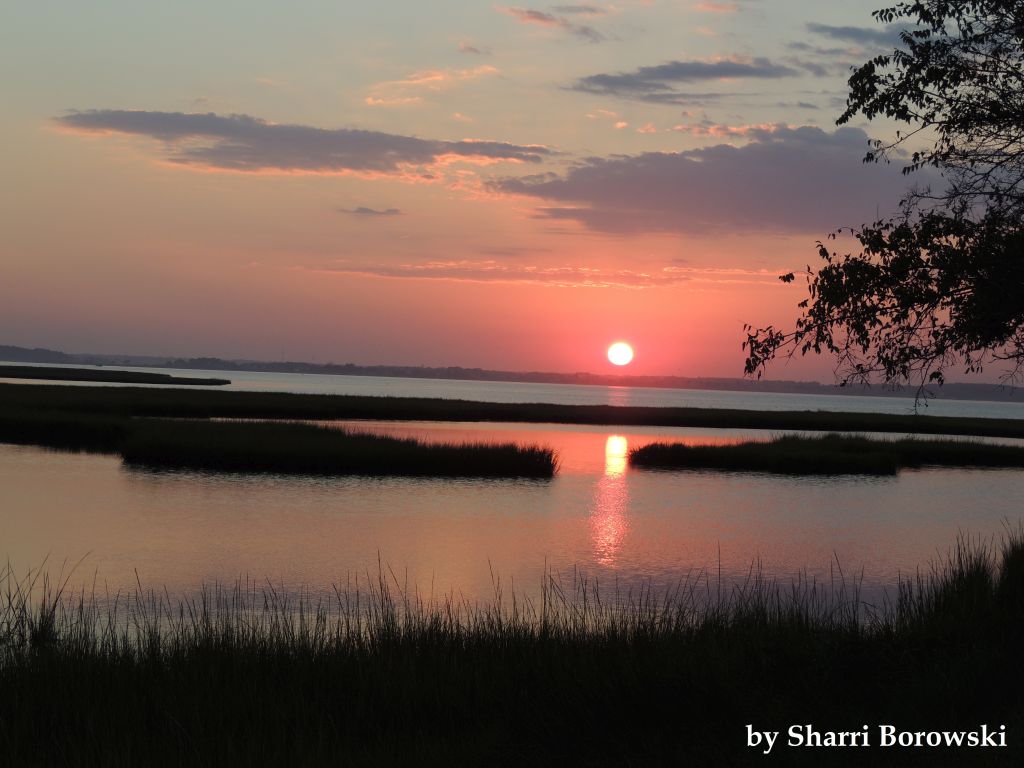 Duane-Loveland_Brecks-Mil-on-Brandywine